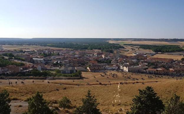 Vista del campo portillano donde se aprecia a decenas de caballistas flanqueando a los toros. 