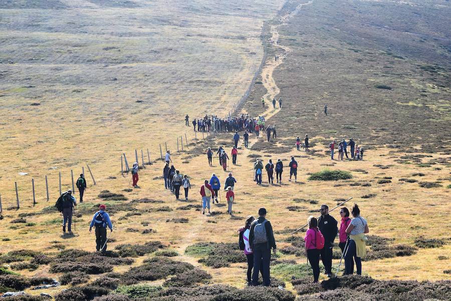 Fotos: Las imágenes que deja la Mojonera en 2018