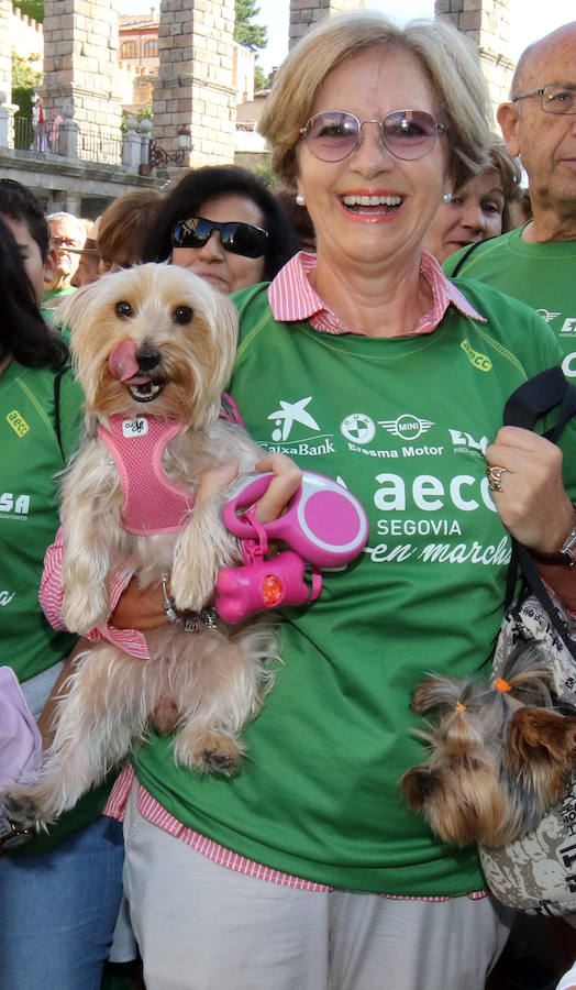 Fotos: V Marcha contra el Cáncer en Segovia