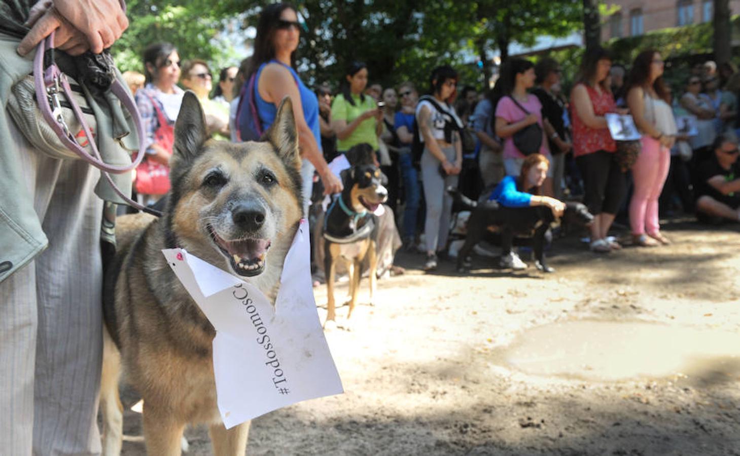 Fotos: Concentración en Las Moreras para despedir a cooper