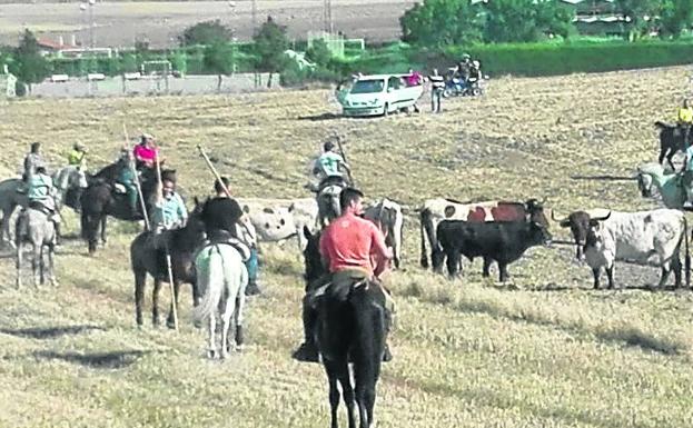 Los caballistas arropan a los cuatro toros del encierro.