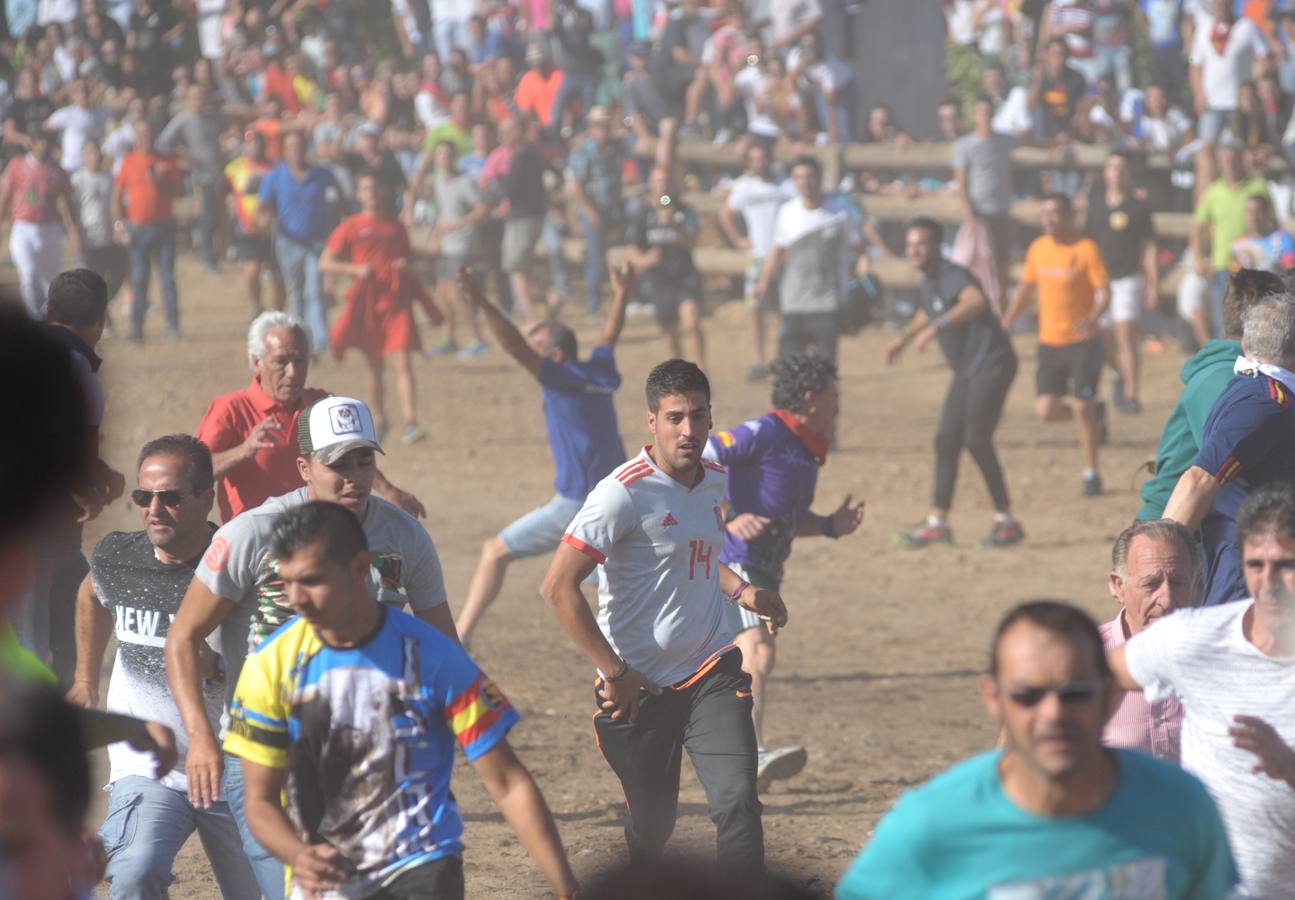 Dos personas han resultado heridas, al parecer uno con una posible cornada en la pierna