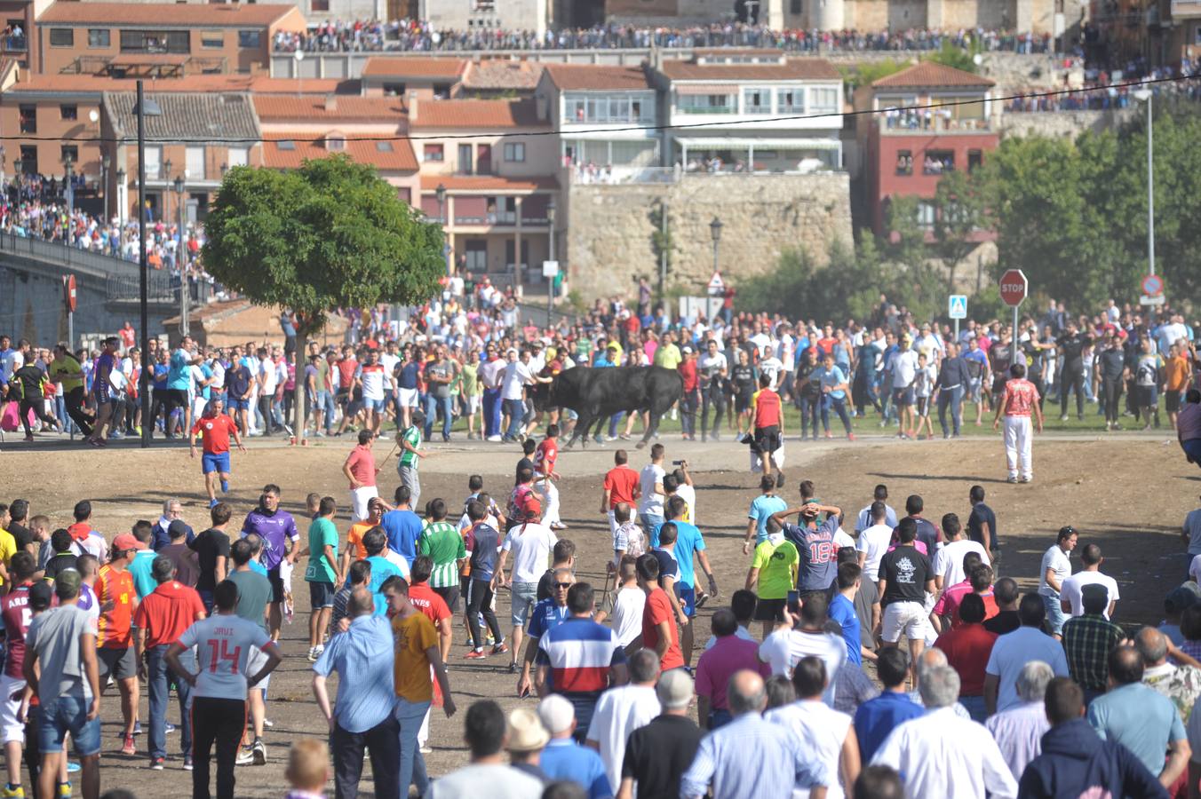 Dos personas han resultado heridas, al parecer uno con una posible cornada en la pierna