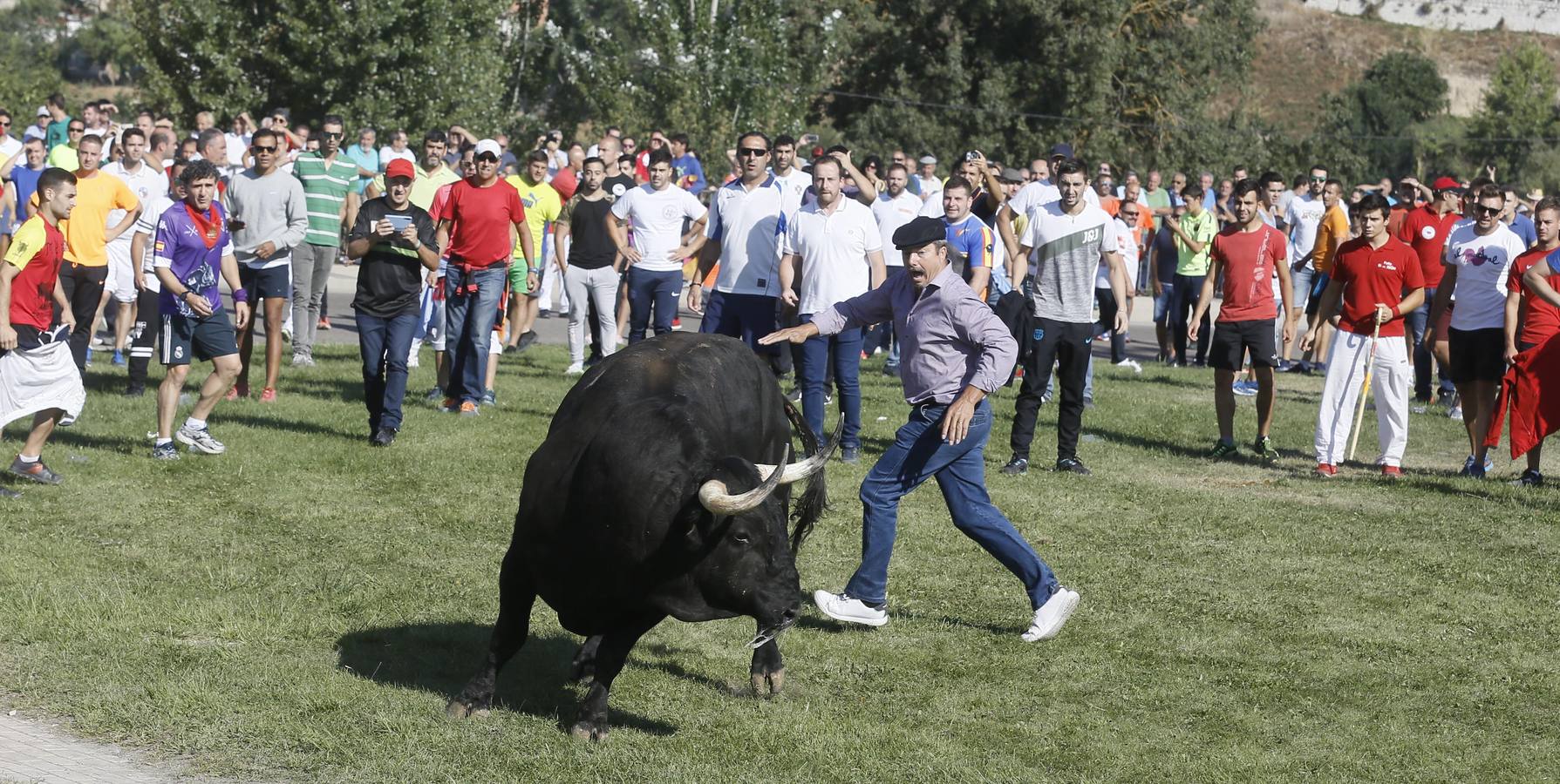 Dos personas han resultado heridas, al parecer uno con una posible cornada en la pierna