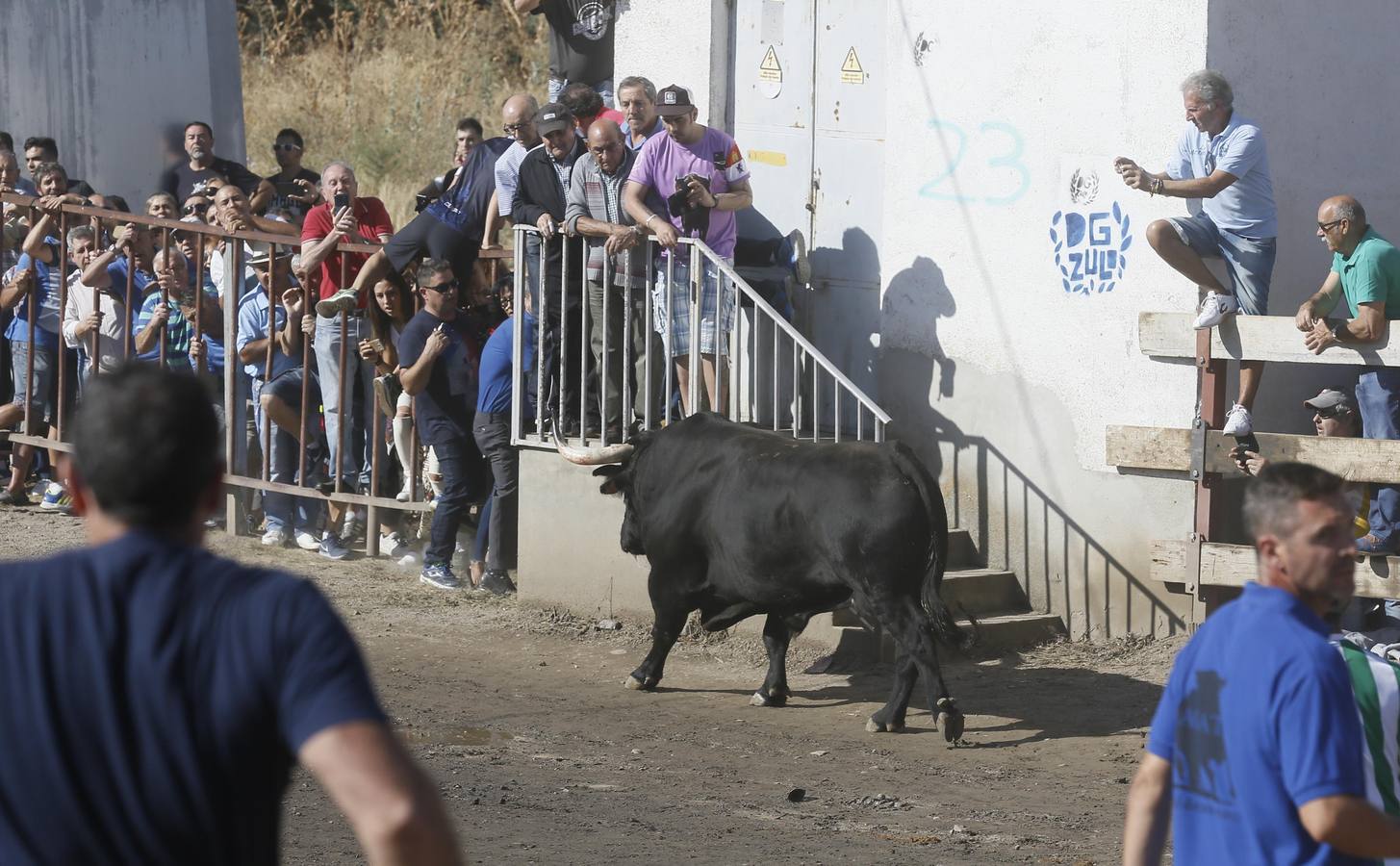 Dos personas han resultado heridas, al parecer uno con una posible cornada en la pierna