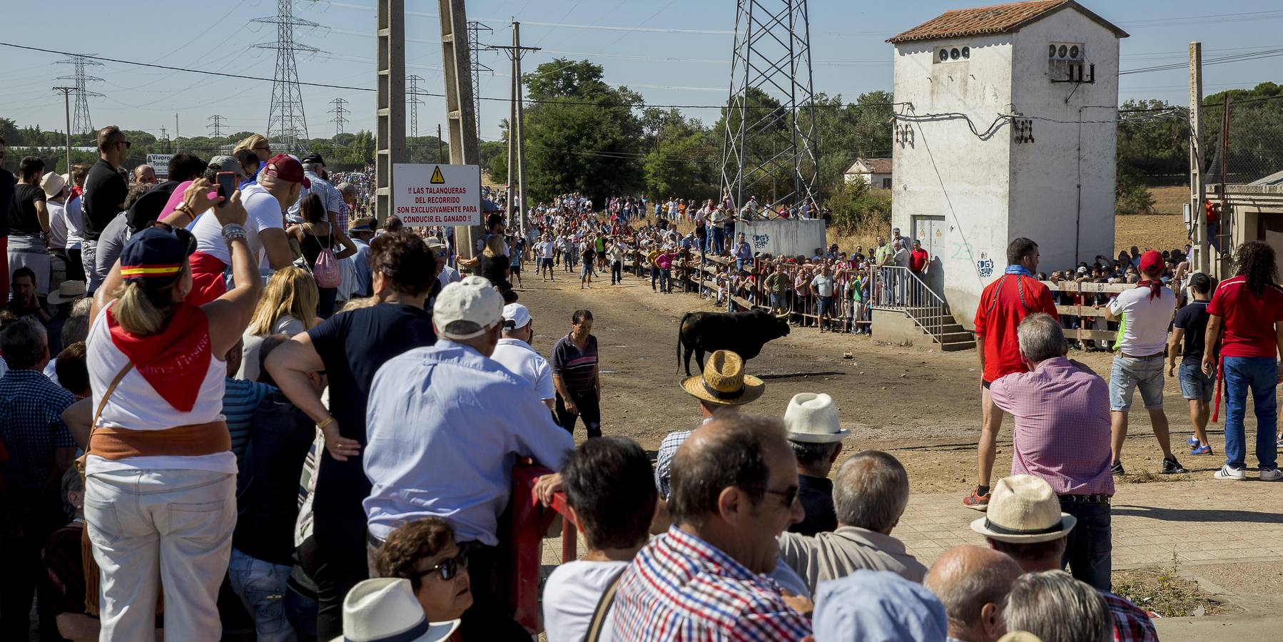 Dos personas han resultado heridas, al parecer uno con una posible cornada en la pierna