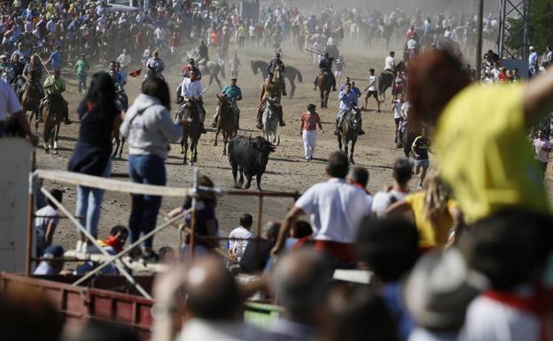 Cruz Roja ha atendido a 27 personas durante la celebración del festejo del Toro de la Vega 2018