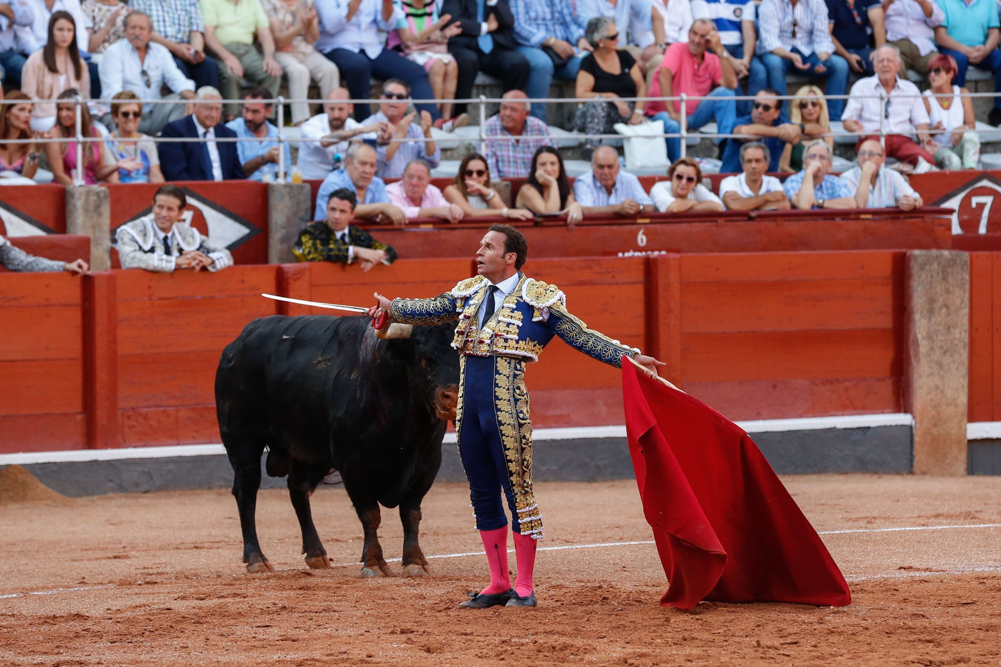 Máximos honores para el bravo, bello y distinguido toro de Montalvo que partió plaza