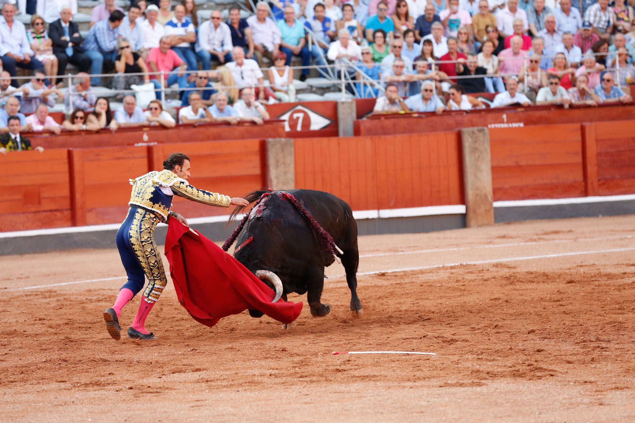 Máximos honores para el bravo, bello y distinguido toro de Montalvo que partió plaza