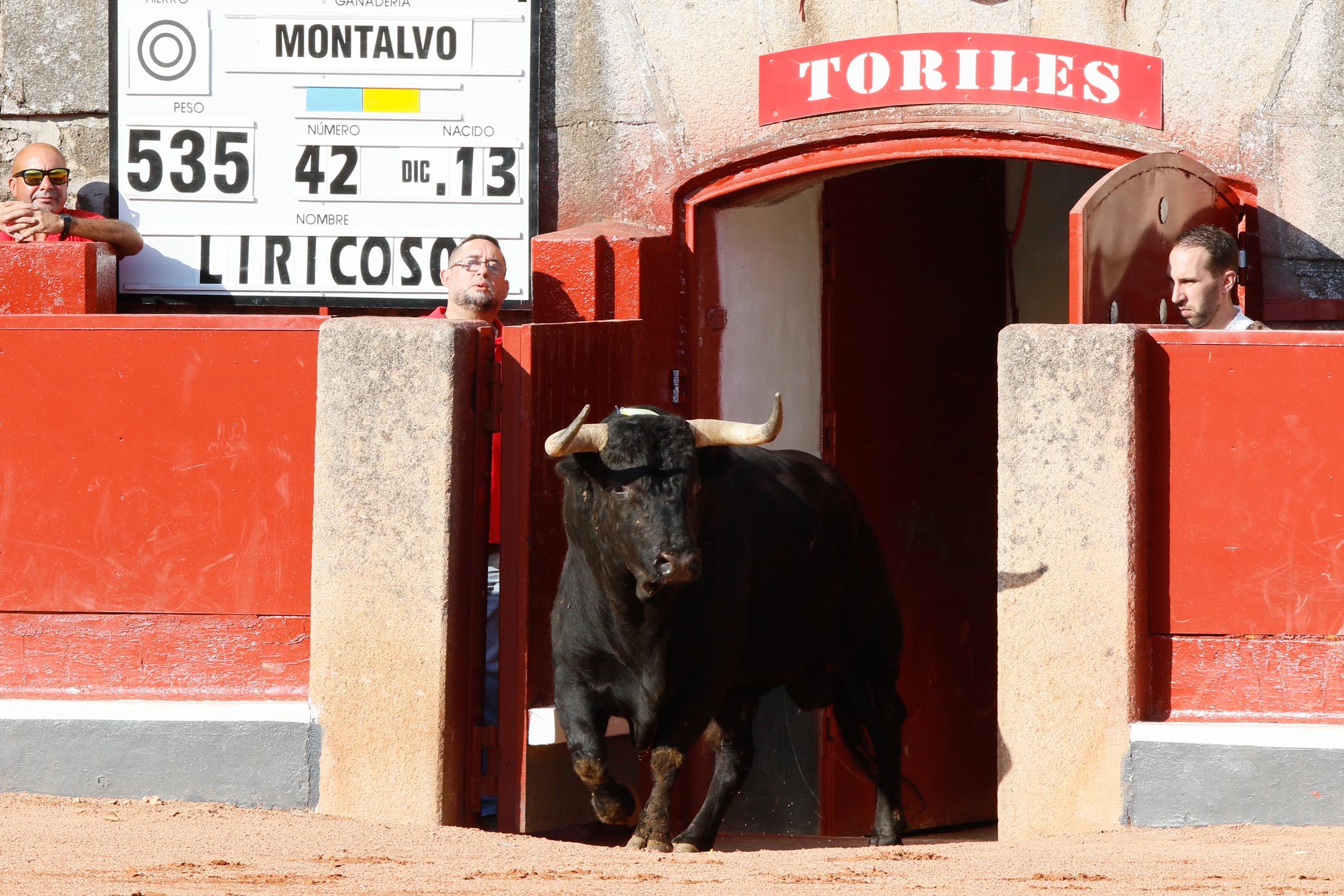 Máximos honores para el bravo, bello y distinguido toro de Montalvo que partió plaza