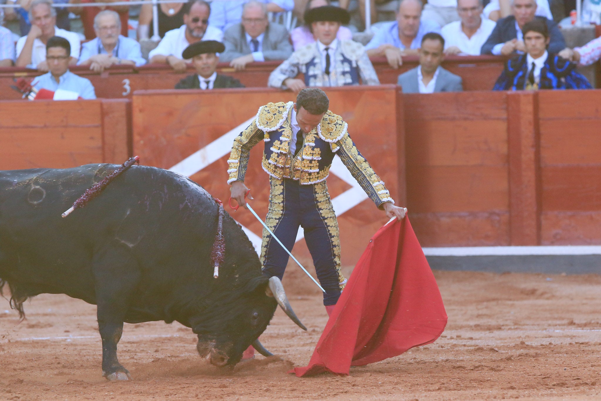 Máximos honores para el bravo, bello y distinguido toro de Montalvo que partió plaza