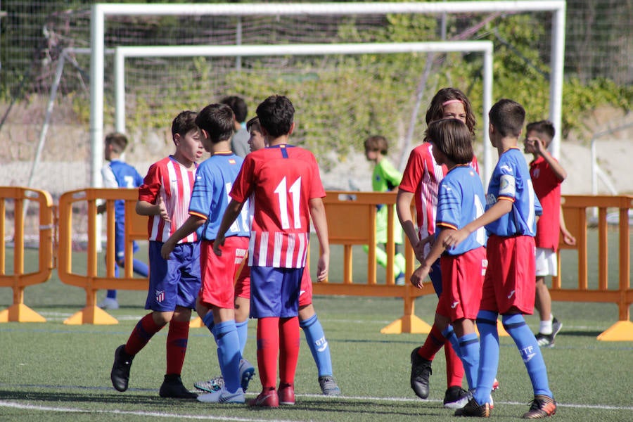 Jornada final de la Copa Tormes en Santa Mart