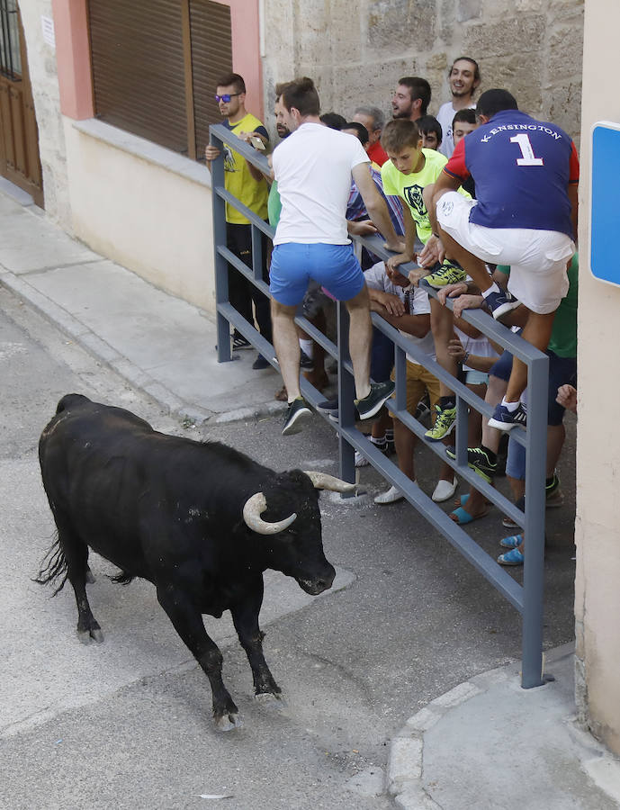 Fotos: Astudillo festeja su primer Toro del Pueblo