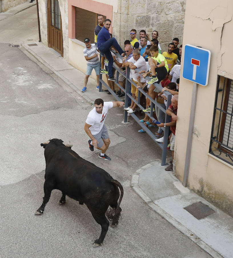 Fotos: Astudillo festeja su primer Toro del Pueblo