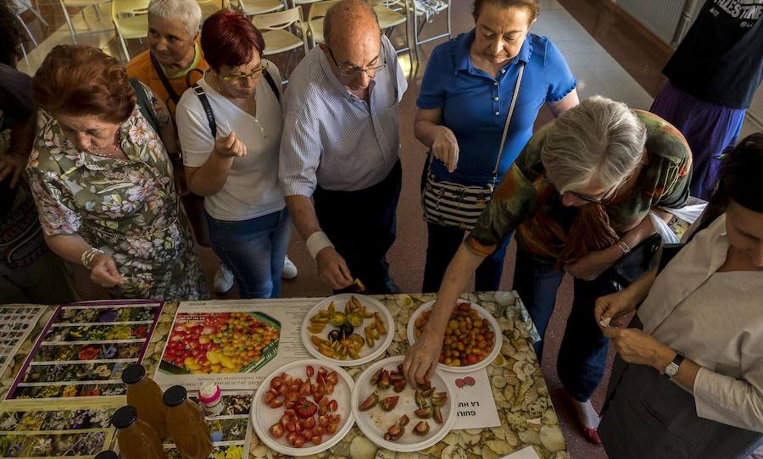 Fotos: Cata de tomates en el Centro Cívico El Campillo