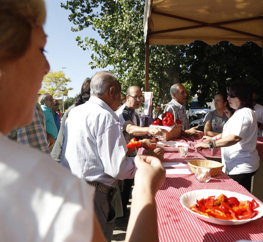 Fotos: XXV Feria del pimiento en Torquemada