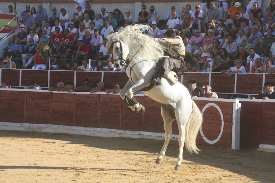 Fotos: Así han sido las fiestas de Nava de la Asunción 2018