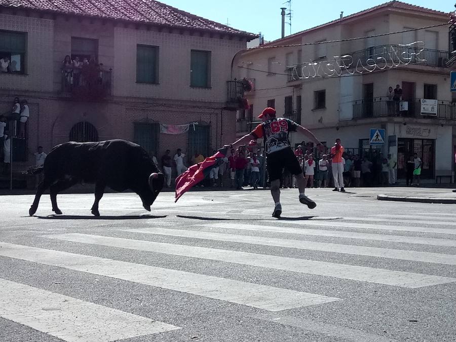 Fotos: Así han sido las fiestas de Nava de la Asunción 2018