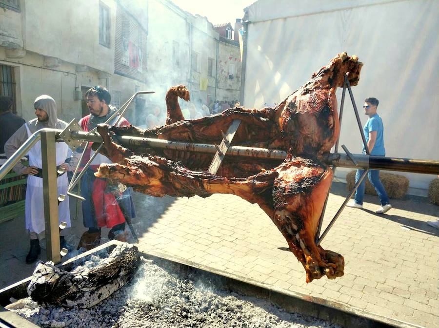 Fotos: Valle de Cerrato vuelve a una festiva Edad Media