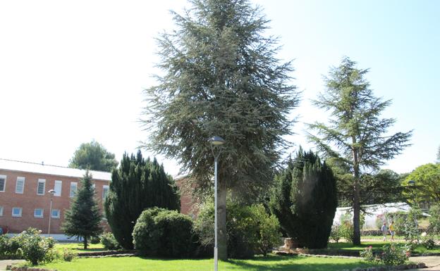 El exterior de la Comunidad Terapeútica 'San Ricardo Pampuri', con sus jardines. 