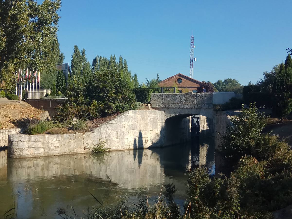 Fotos: Una mañana en la ribera del Canal de Castilla a su paso por Valladolid