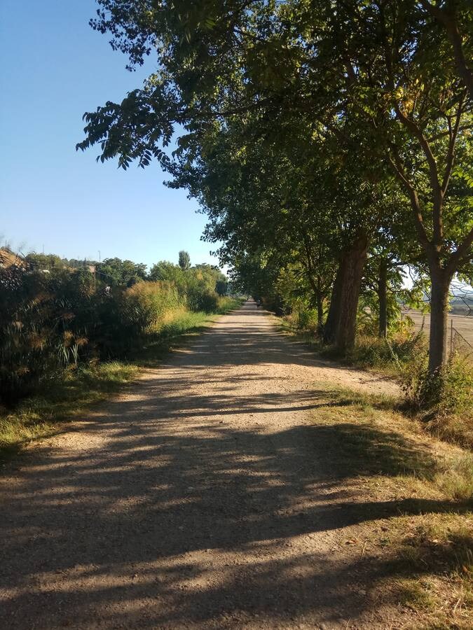 Fotos: Una mañana en la ribera del Canal de Castilla a su paso por Valladolid