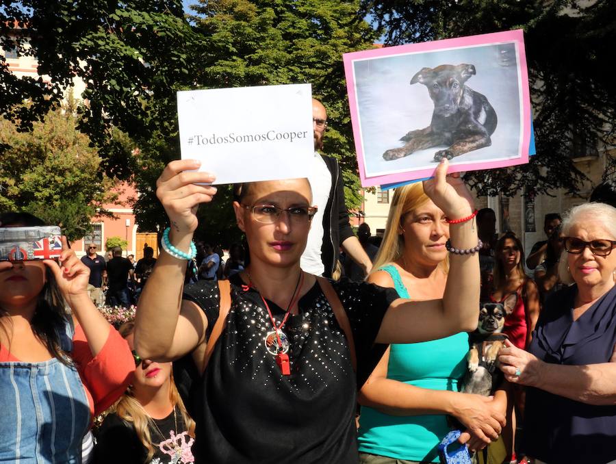 Fotos: Medio millar de personas reclaman justicia para el perro Cooper en Santovenia