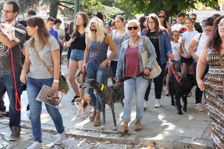 Fotos: Medio millar de personas reclaman justicia para el perro Cooper en Santovenia