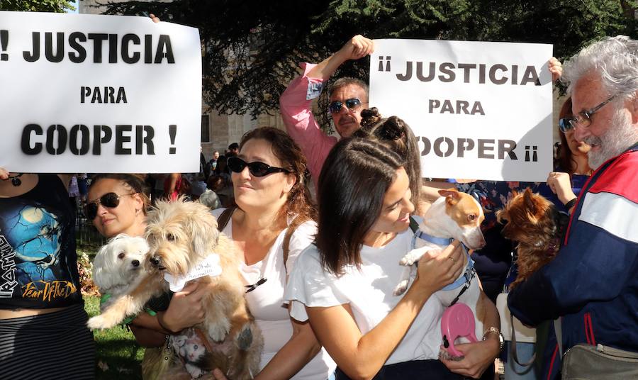 Fotos: Medio millar de personas reclaman justicia para el perro Cooper en Santovenia