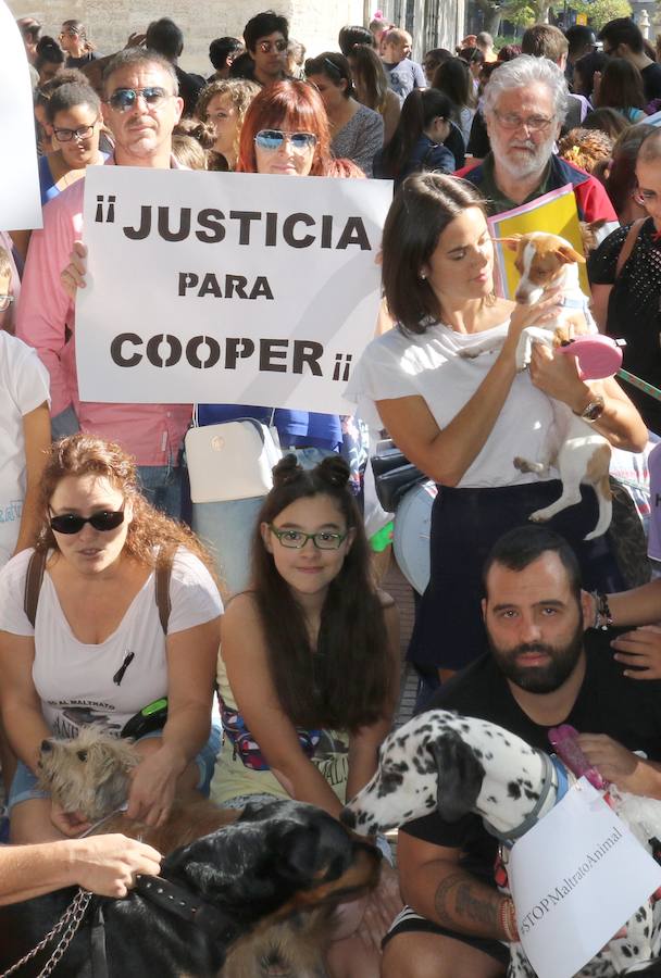 Fotos: Medio millar de personas reclaman justicia para el perro Cooper en Santovenia