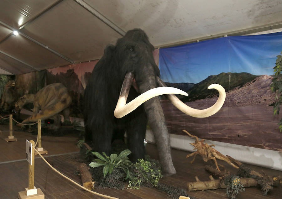 Fotos: Exposición de dinosaurios animatrónicos en el Ferial