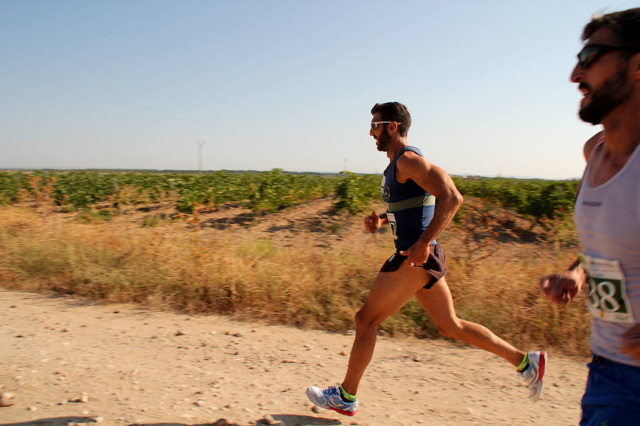 Fotos: Corriendo entre viñas en Matapozuelos