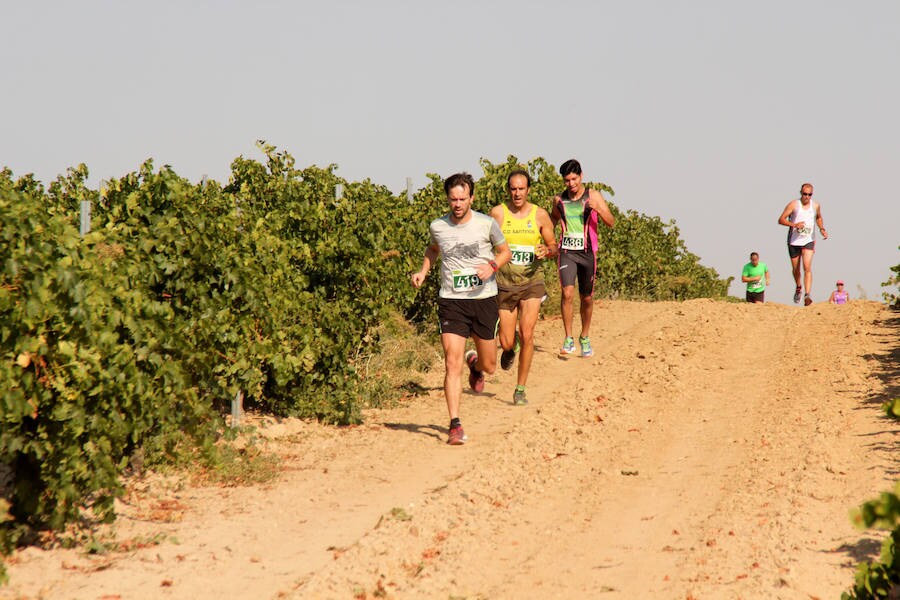 Fotos: Corriendo entre viñas en Matapozuelos