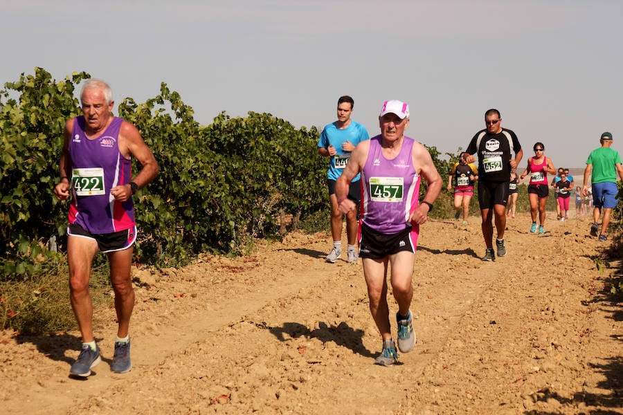 Fotos: Corriendo entre viñas en Matapozuelos