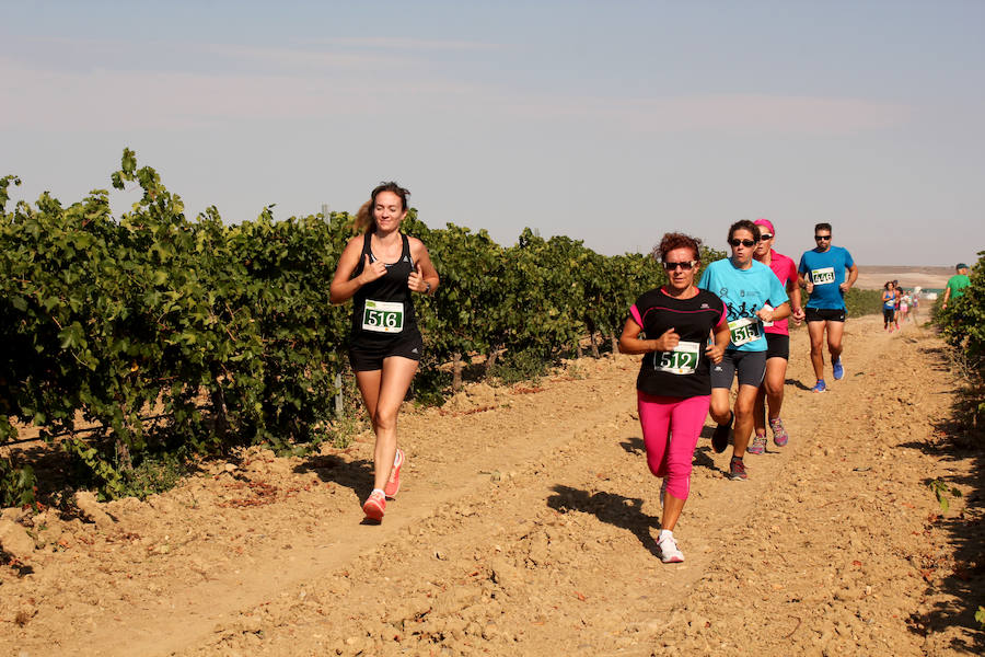 Fotos: Corriendo entre viñas en Matapozuelos