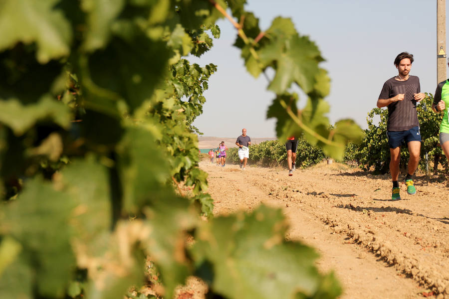 Fotos: Corriendo entre viñas en Matapozuelos