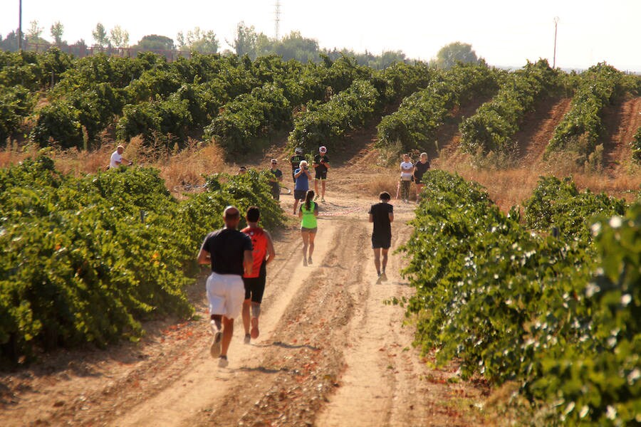 Fotos: Corriendo entre viñas en Matapozuelos
