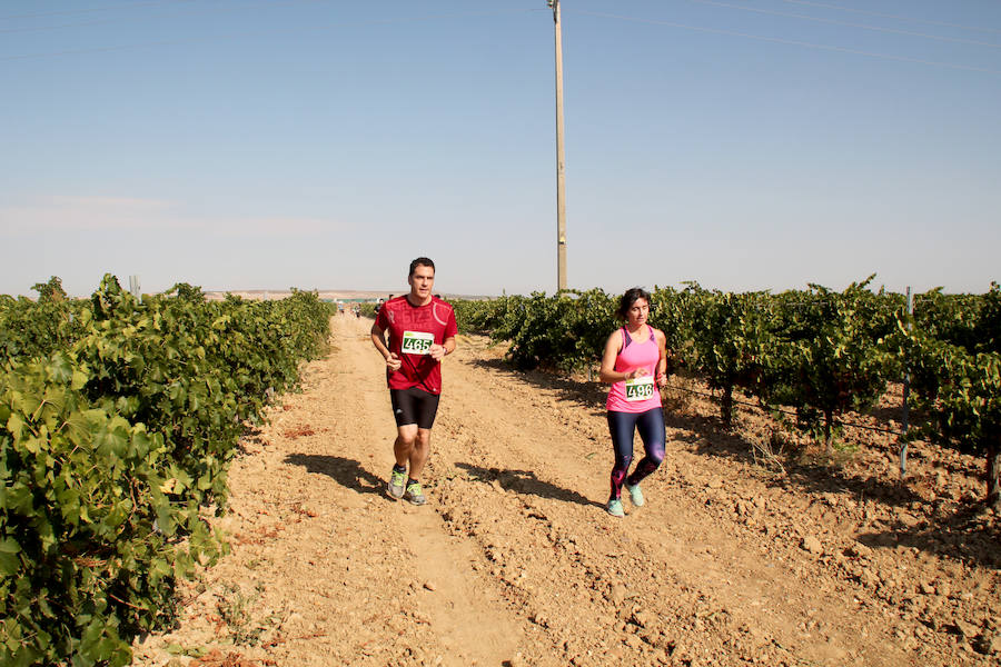 Fotos: Corriendo entre viñas en Matapozuelos