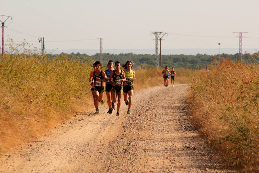 Fotos: Corriendo entre viñas en Matapozuelos