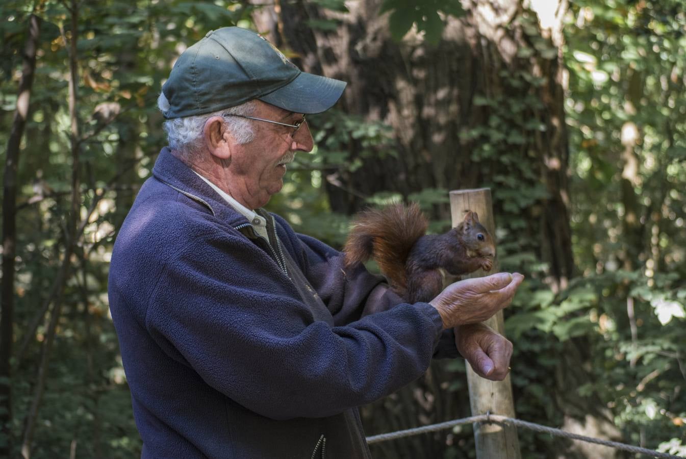 Fotos: Llega el otoño al Campo Grande