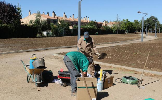 Los operarios trabajan en los jardines de calle Barcelona, en la urbanización Santa Ana. 