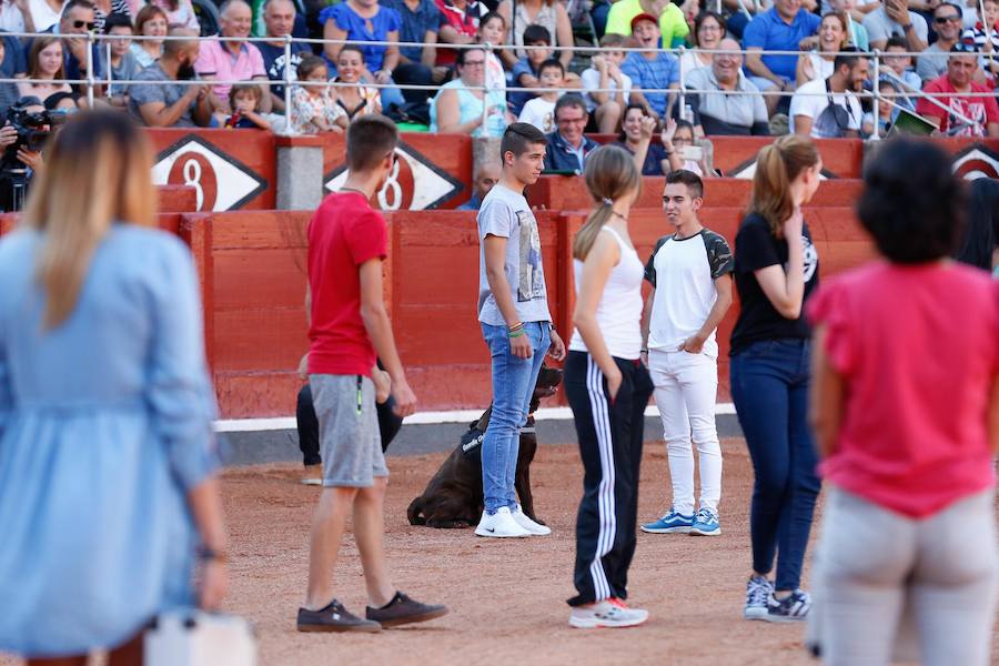 Exhibición de la Guardia Civil en la Plaza de Toros de La Glorieta de Salamanca