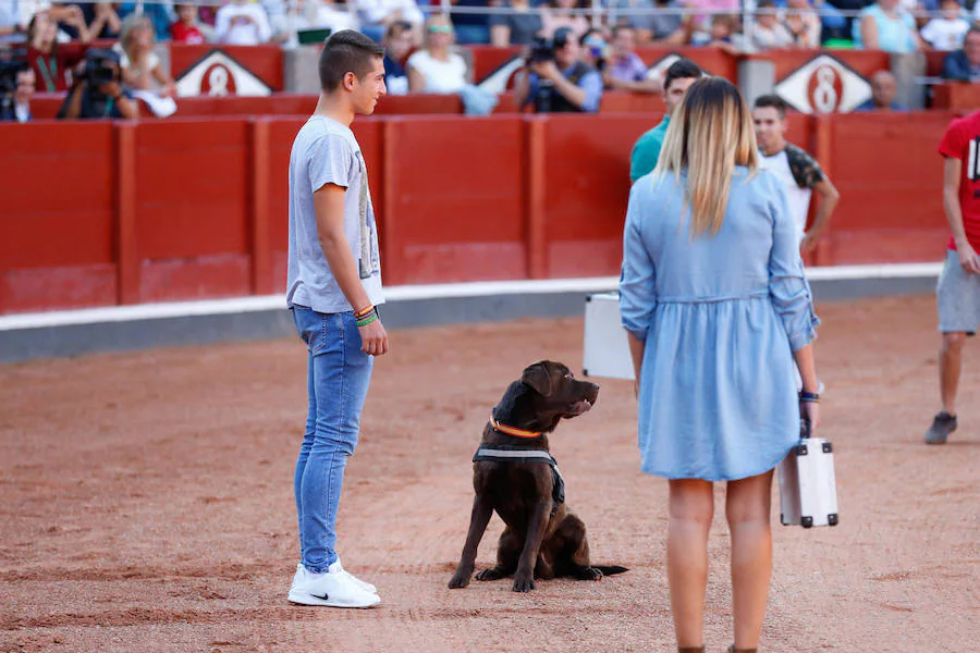 Exhibición de la Guardia Civil en la Plaza de Toros de La Glorieta de Salamanca