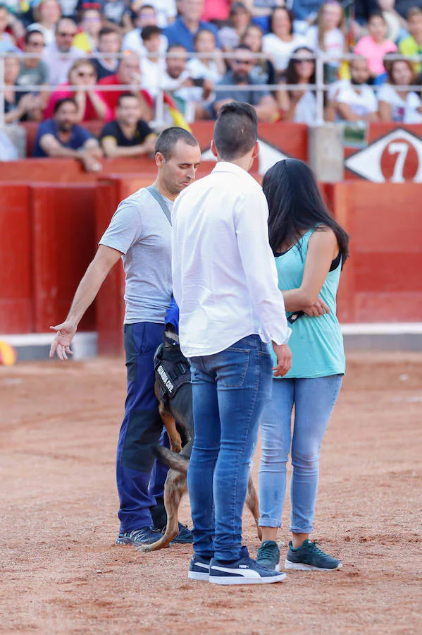 Exhibición de la Guardia Civil en la Plaza de Toros de La Glorieta de Salamanca