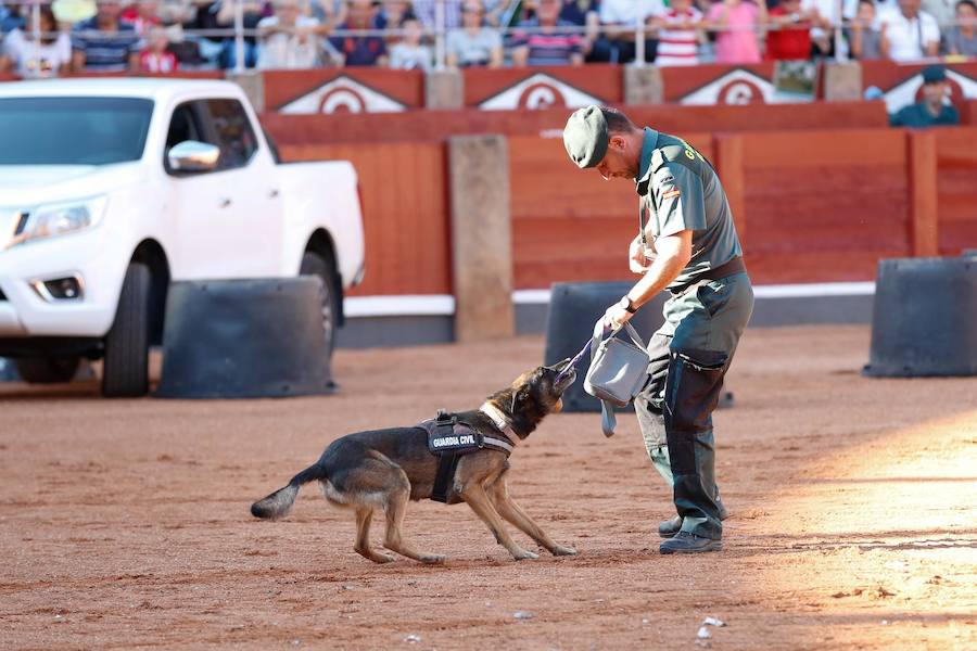 Exhibición de la Guardia Civil en la Plaza de Toros de La Glorieta de Salamanca