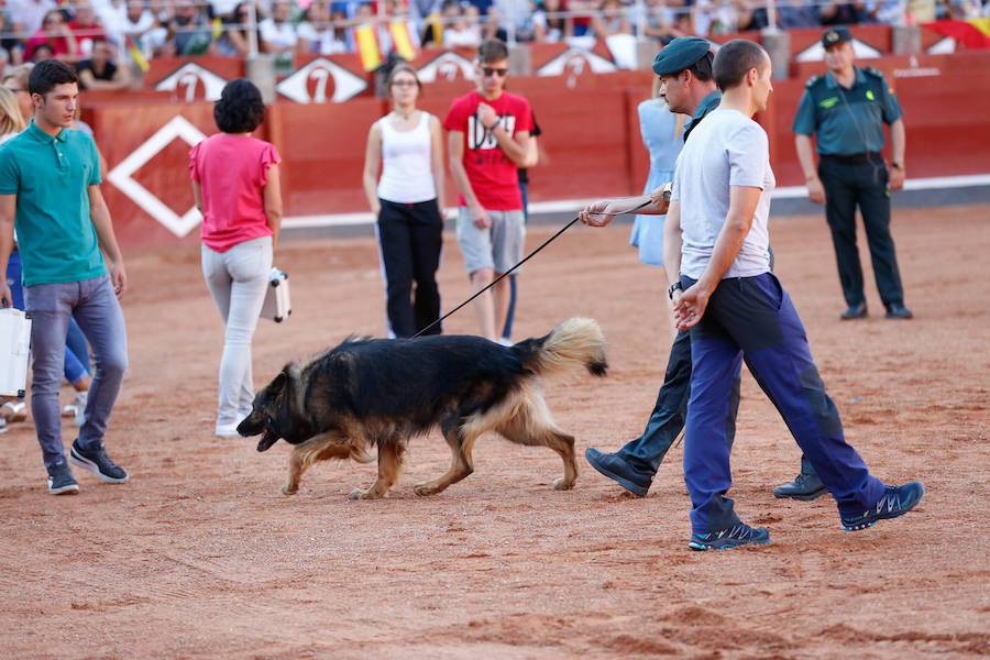 Exhibición de la Guardia Civil en la Plaza de Toros de La Glorieta de Salamanca