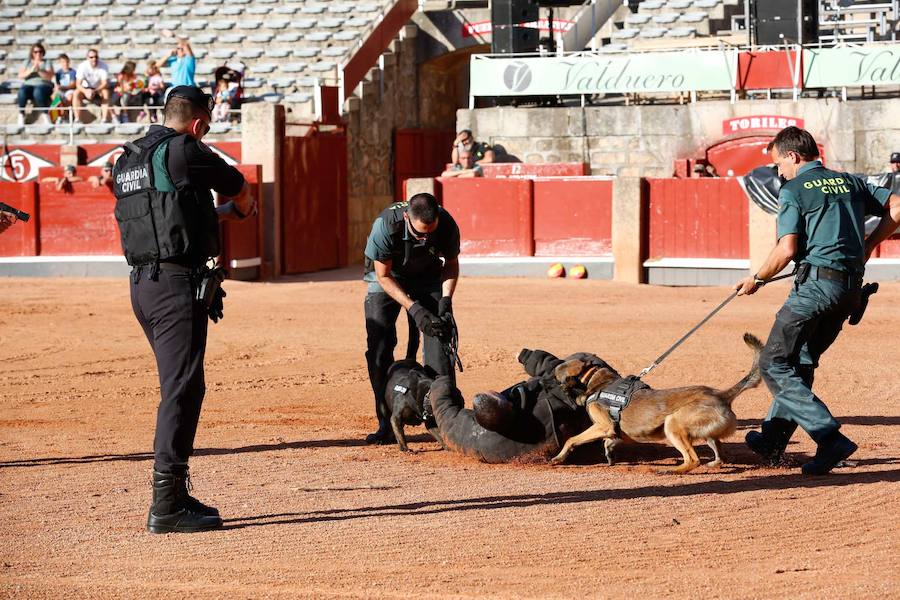 Exhibición de la Guardia Civil en la Plaza de Toros de La Glorieta de Salamanca