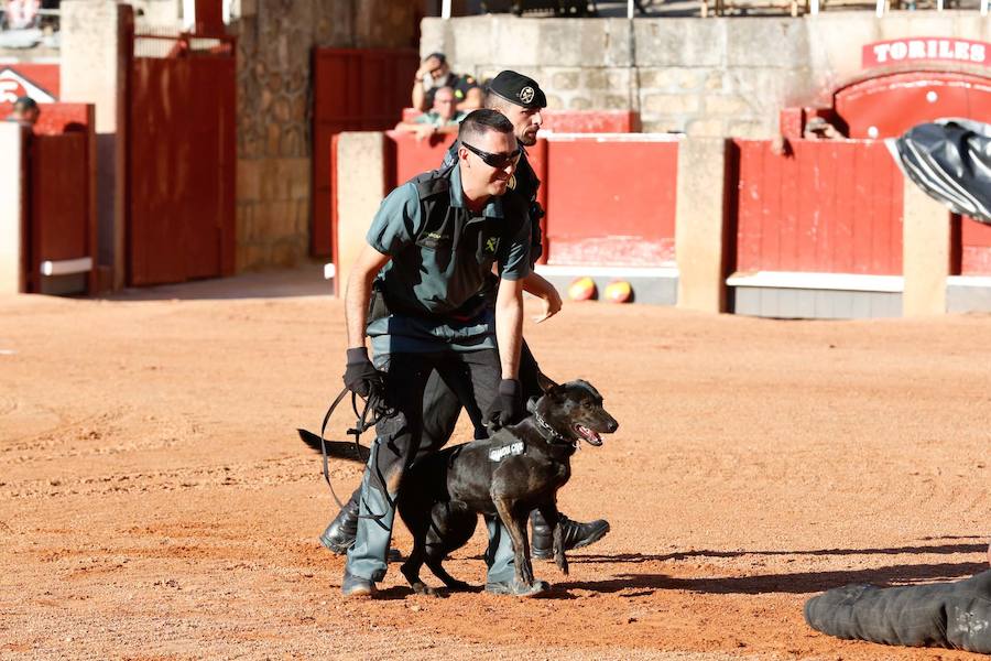 Exhibición de la Guardia Civil en la Plaza de Toros de La Glorieta de Salamanca