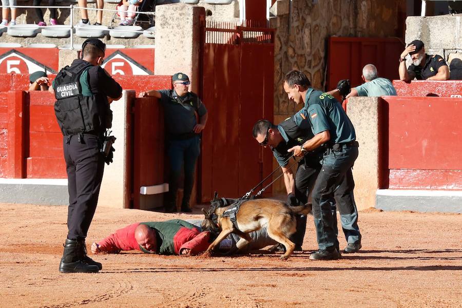 Exhibición de la Guardia Civil en la Plaza de Toros de La Glorieta de Salamanca