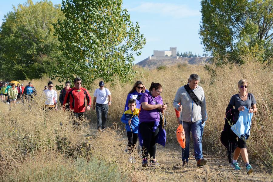 Fotos: Marcha de la Fundación San Cebrián en Palencia